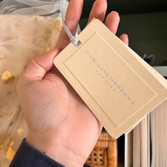 Carolina Herrera Wedding Dress - Picture 7 of 13